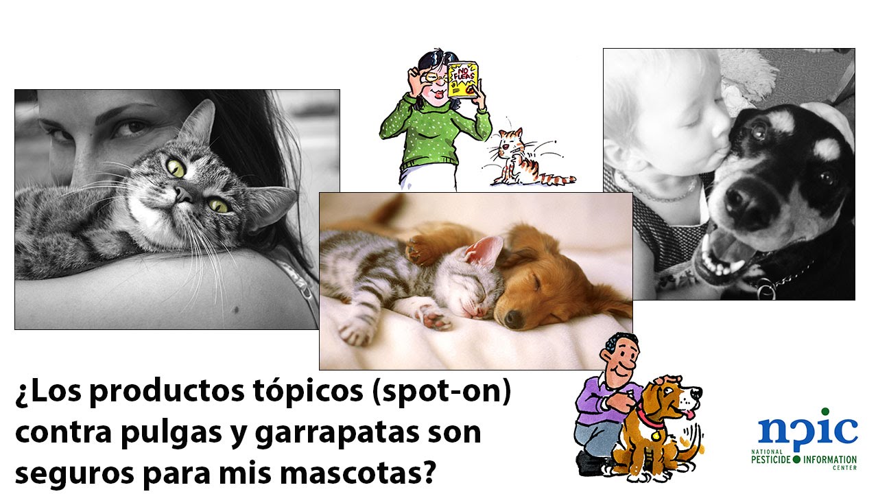¿Los productos tópicos (spot-on) contra pulgas y garrapatas son seguros para mis mascotas?