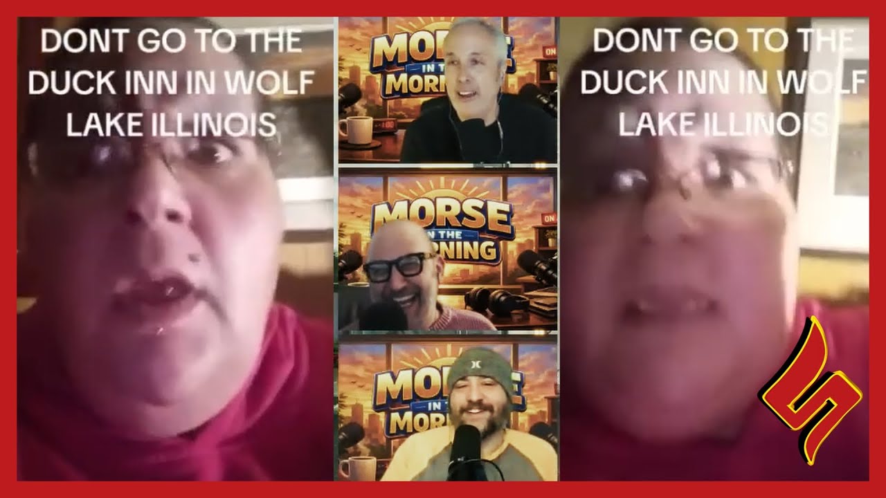 Наблюдение за птенцами птиц в отеле Duck Inn | Видеоролики TSN