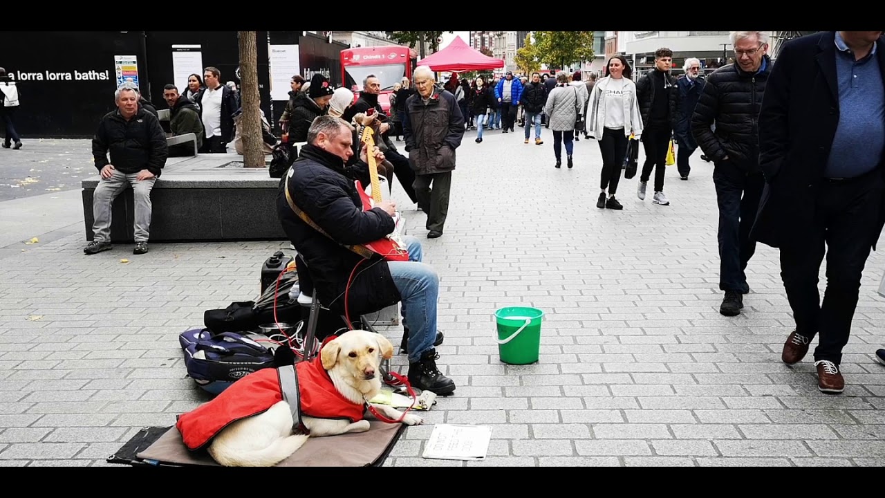 Blind Man Andy Joyson and his dog Toffee busking in Liverpool.
