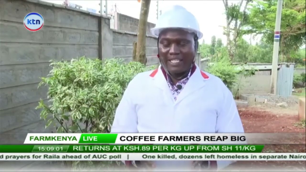 Coffee farmers reap big
