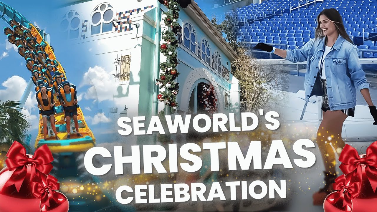 NATAL SEA WORLD - Como é a festa de Natal?