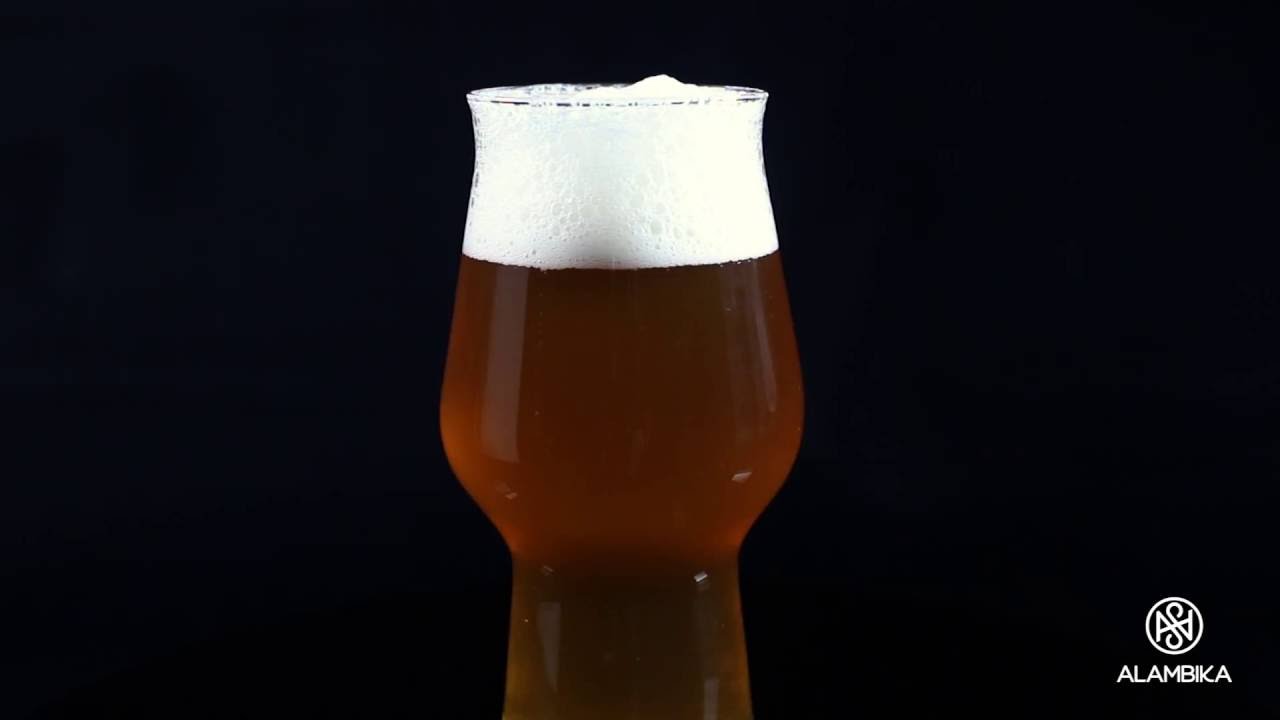 Rastal Craftmaster beer glass - Alambika.ca
