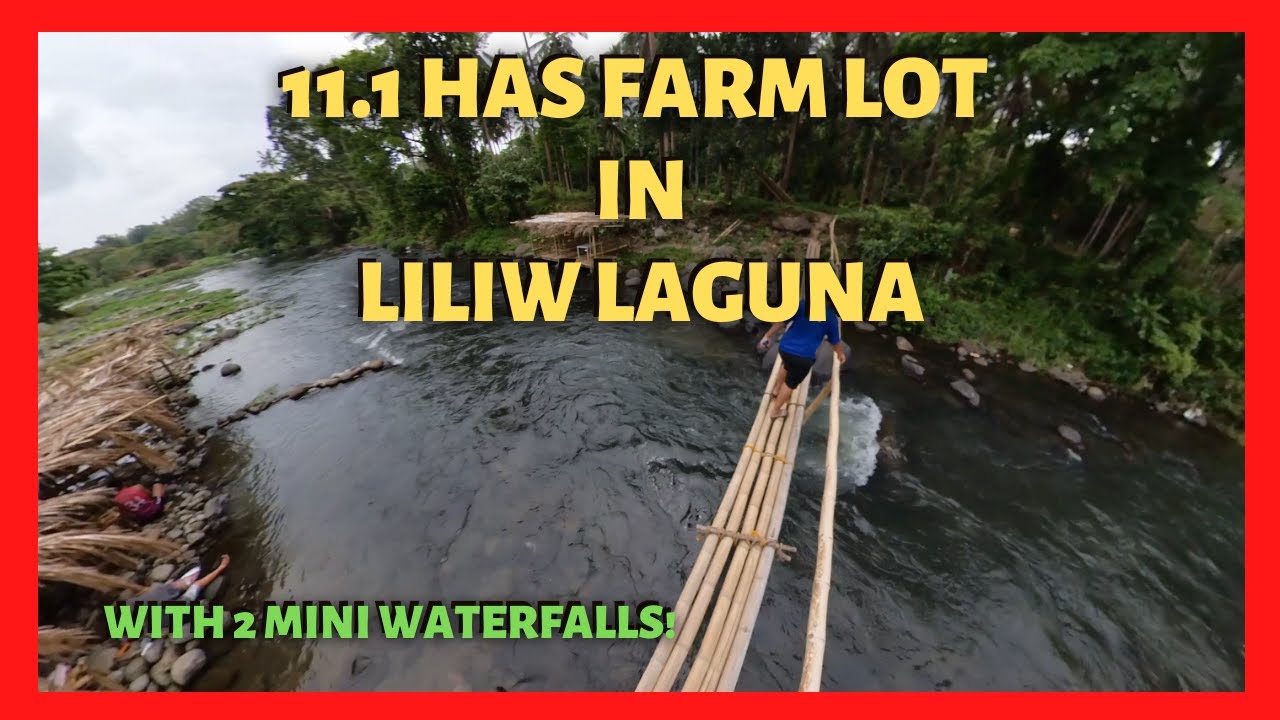11.1 has Farm Land in Liliw Laguna for Sale (Lot Code 2322)