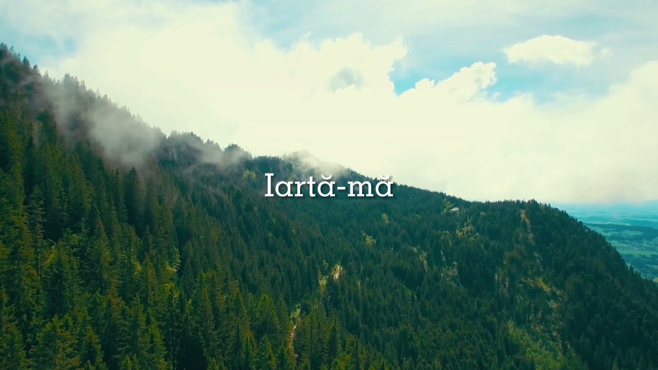 Iartă-mă - Ligia Bodea (videoclip cu versuri)