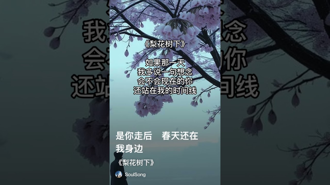 《梨花树下》（完整版）（纯音乐）SoulSong（苏爽）_ 如果那一天我多说一句想念，会不会现在的你，还站在我的时间线….