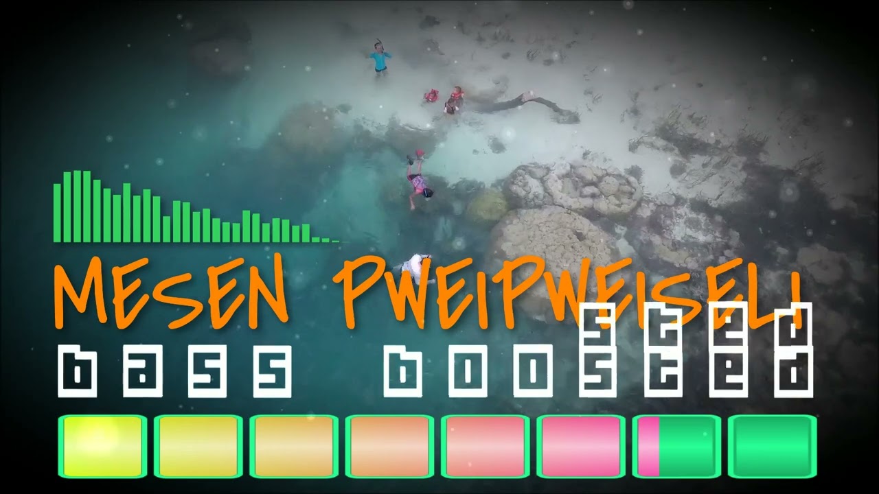 MESEN PWEIPWEISELI - MIGUEL (BASS BOOSTED) | MICRONESIAN MUSIC 🌴 ISLAND JAM | NESIAN VIBES