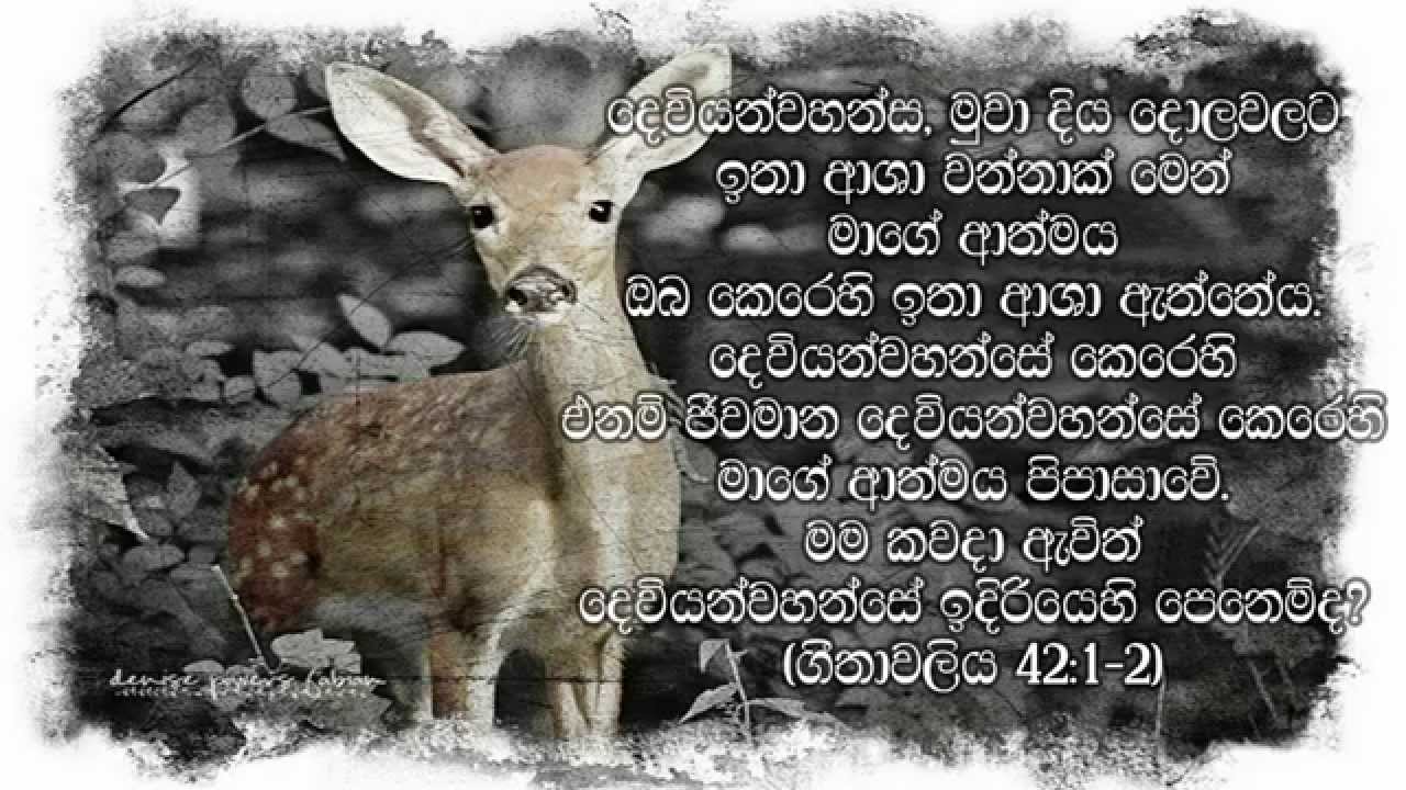 Diya Soyana Muwa Powwaku Se - Sinhala Christian Worship song