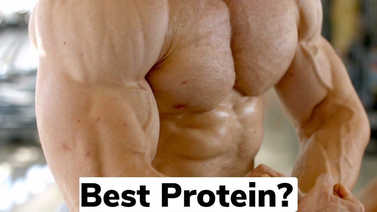 Best Hydrolyzed Whey Protein 2023 | Muscle Feast Hydrolyzed Whey Protein