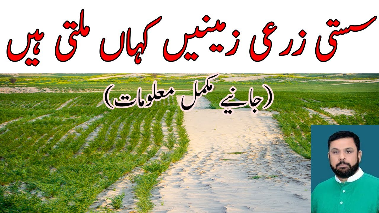 پنجاب میں سستی زمینیں کہاں ملتی ہیں؟