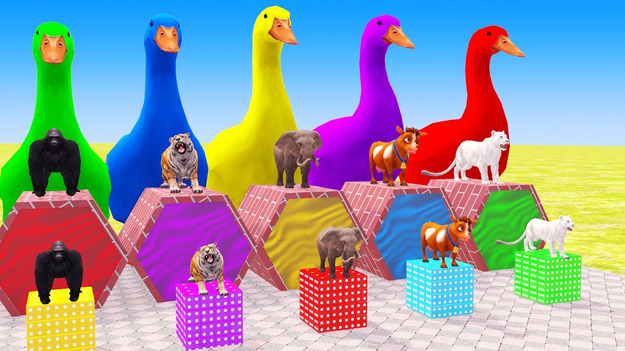 Long Slide Game With Cow Elephant Gorilla Hippopotamus Tiger 3d Animal Game Funny 3d Animals