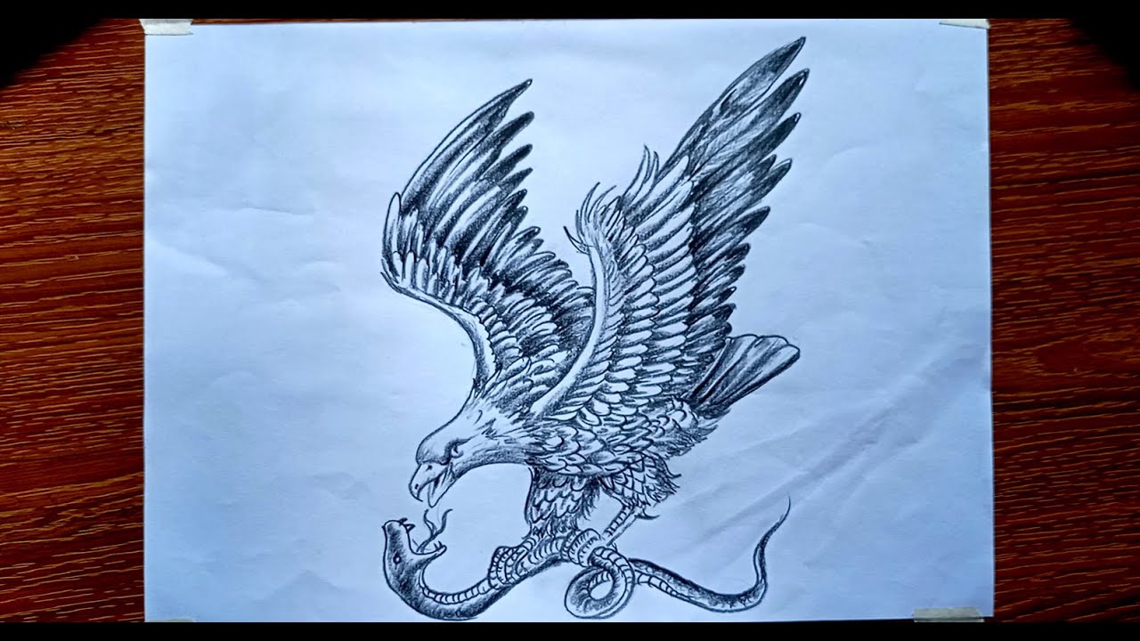 Eagle  Drawing with Pencil | Pencil Shading Bird | Pencil Sketch Art | Eagle with Snake Drawing