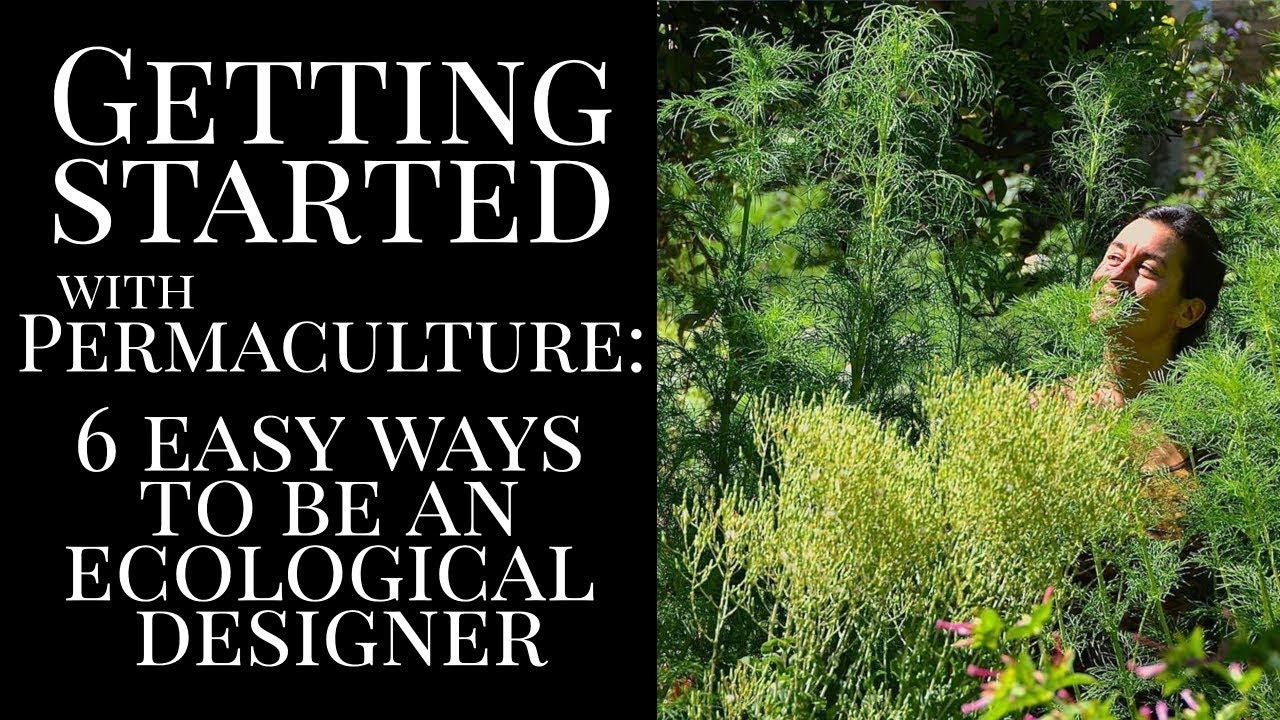6 Ways to Get Started with Permaculture