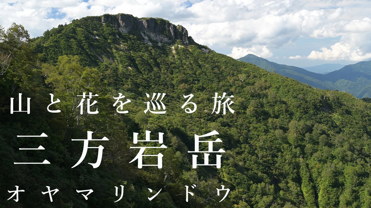 【登山】三方岩岳（晩夏の北陸の三百名山に登りました）
