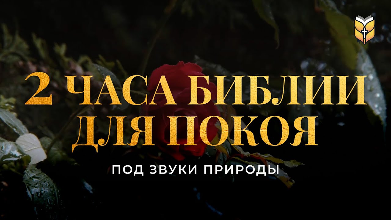 2 часа Библии для покоя под звуки природы. Современный перевод Библии #biblevision