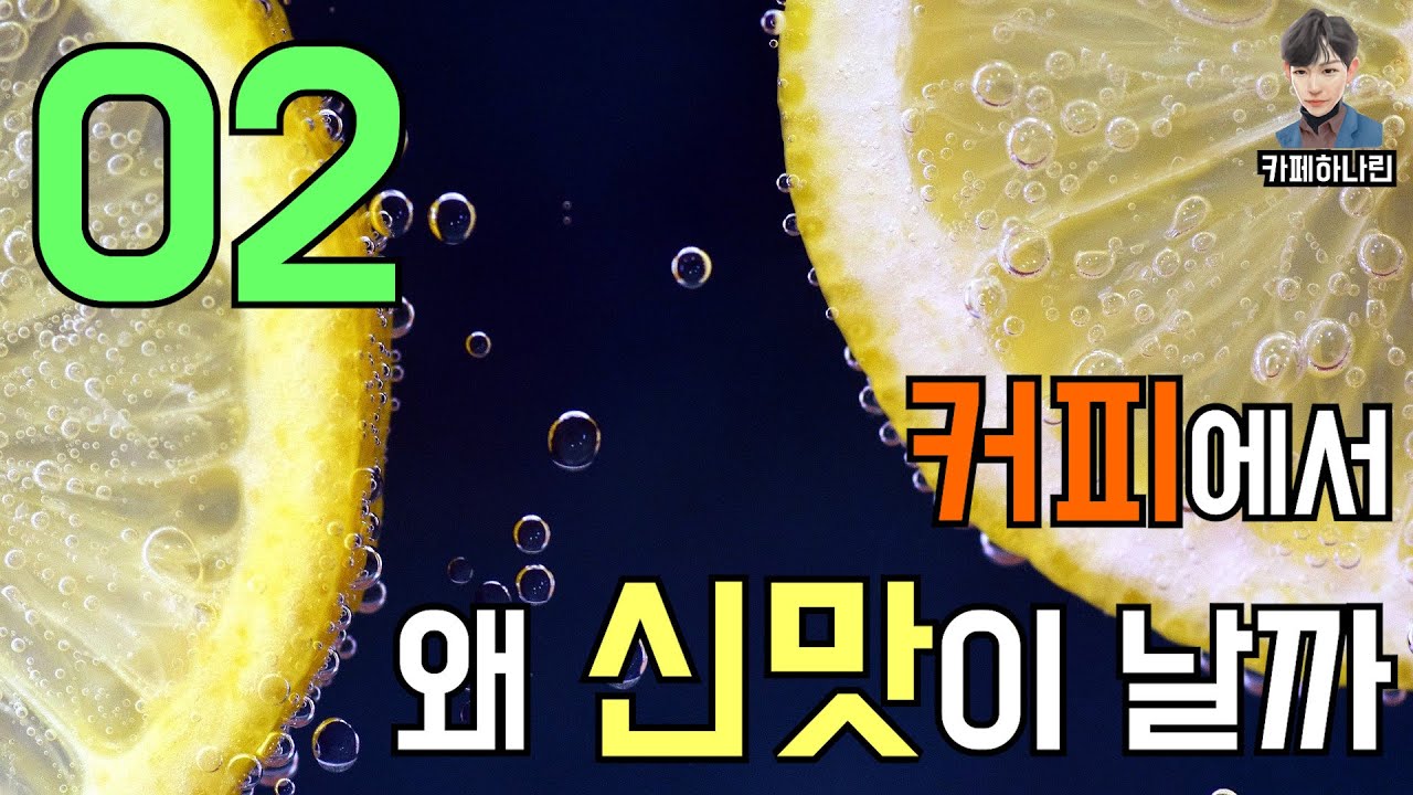 커피에서 왜 신맛이 날까? 커피에서 신맛이 나는 이유, 커피의 산미