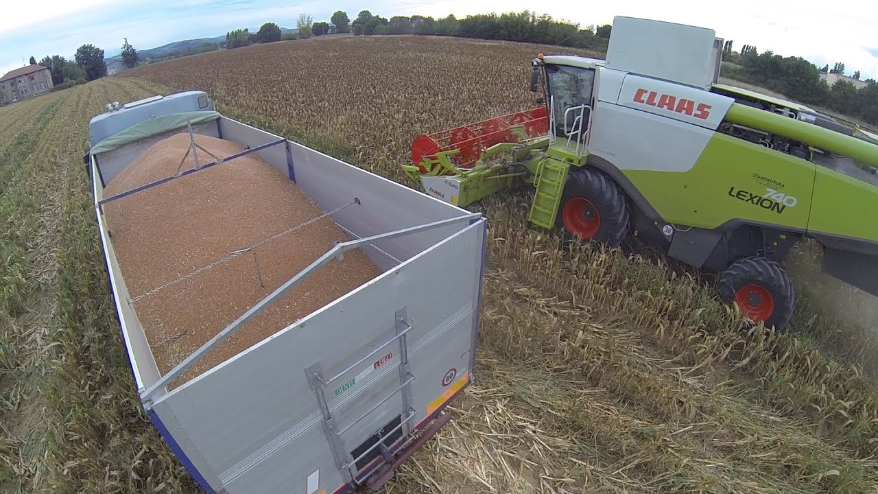 Claas Lexion 740 - Harvesting Sorghum 2015