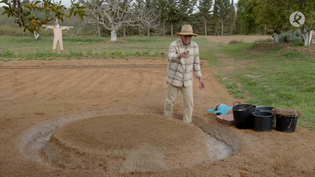 Conoce todos los secretos de la siembra del espárrago | El huerto de los Álvarez