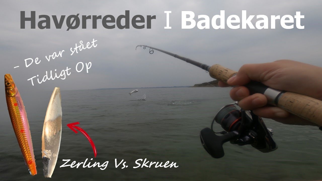 Havørreder I Badekaret | De Var Stået Tidligt Op