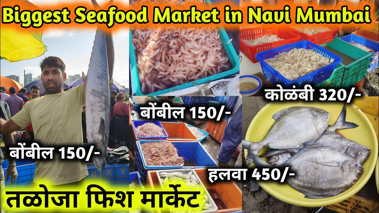 Taloja fish Market | seafood market in Navi Mumbai | wholesale fish market |sea food lovers |machhi