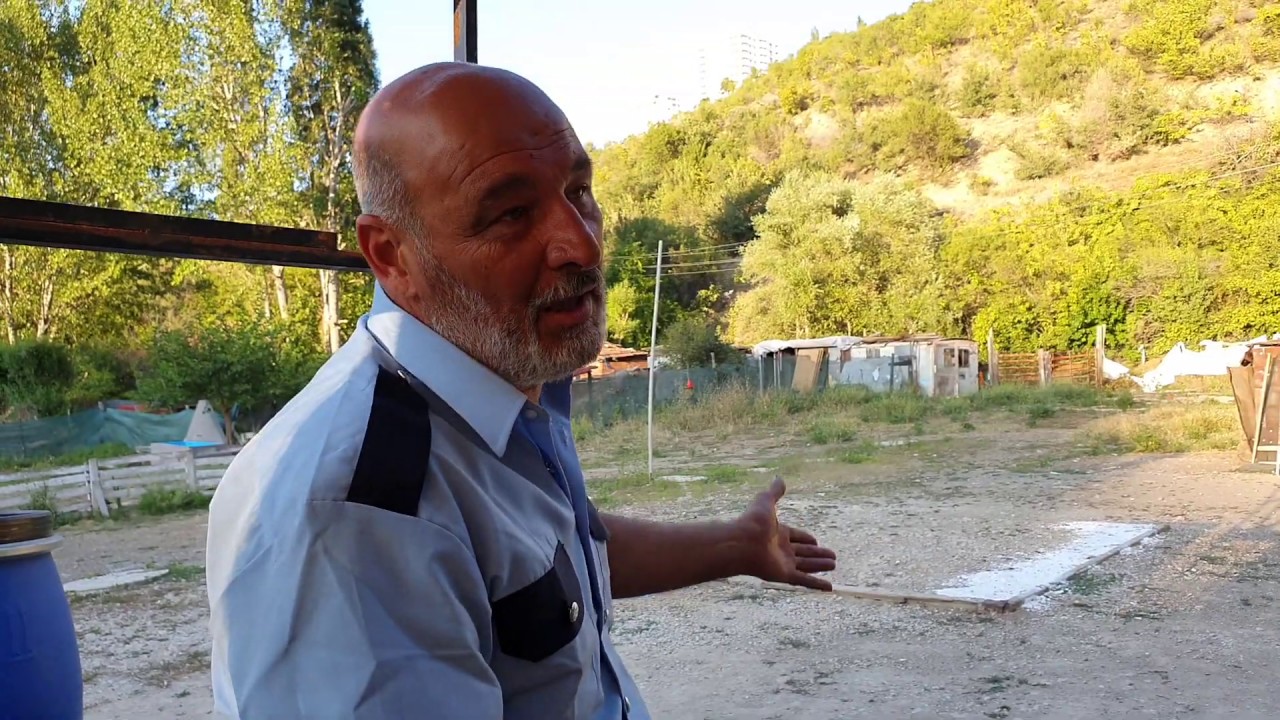 SEFERLİ TAKLACI G&Uuml;VERCİN OYUN KUŞU AYI KENAN ANKARA
