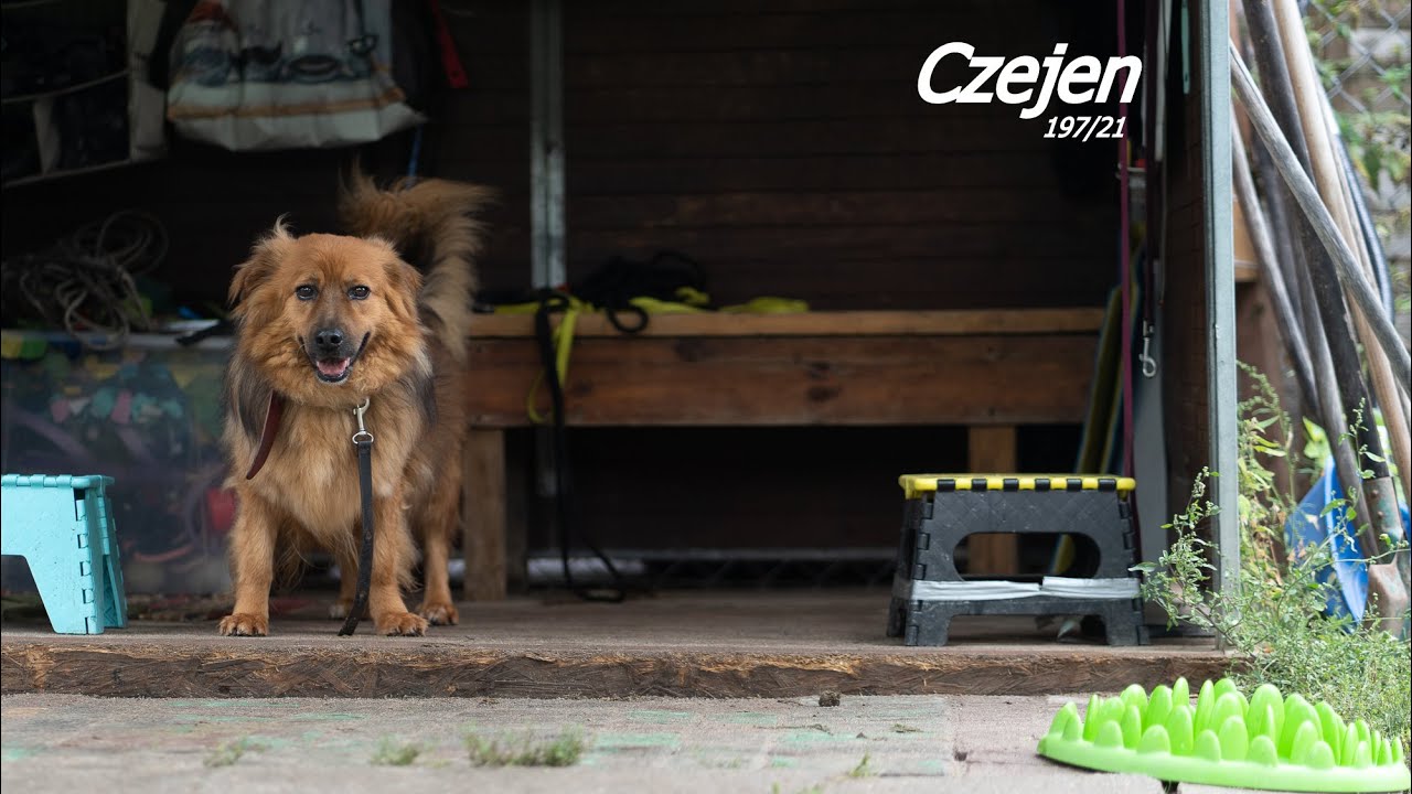 Czejen (197/21), nadzorca.