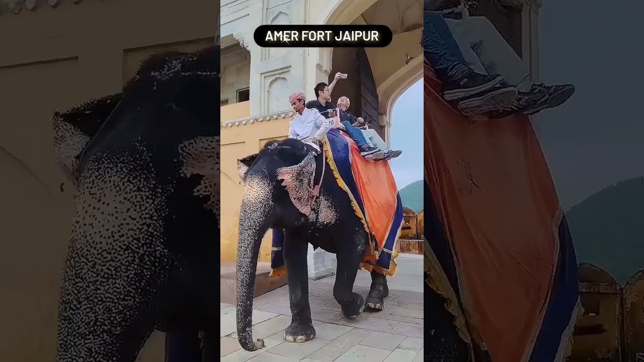 Amer Fort (Jaipur)