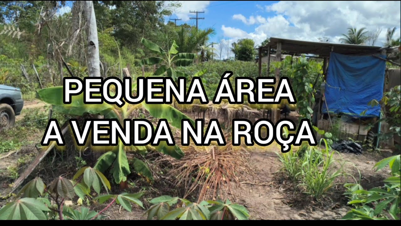 VENDIDA/PEQUENA ÁREA NA ROÇA TODA NO ROÇADO LOCAL ACESSÍVEL POR 65 MIL #sítioavendanabahia