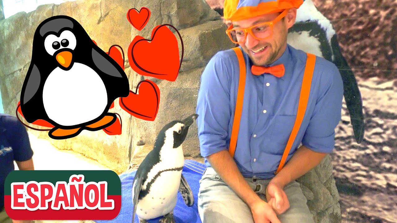 Blippi Español Visita un Acuario | Nuevo Video! Videos Educativos de Peces y Animales para Niños