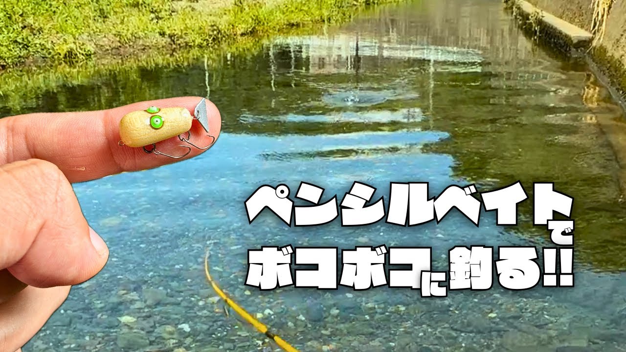 9月もまだまだトップで釣れる!初秋のトップウォーターチャビングでカワムツ連発！【チャビング#32】