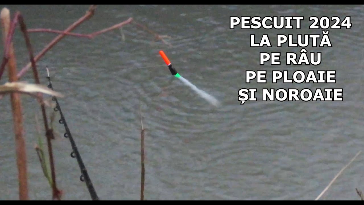 Pescuit 2024 La Pluta ca în COPILARIE Pe PLOAIE și NOROAIE Pe RÂU cu FICAT, Viermi si Coada LA CLEAN