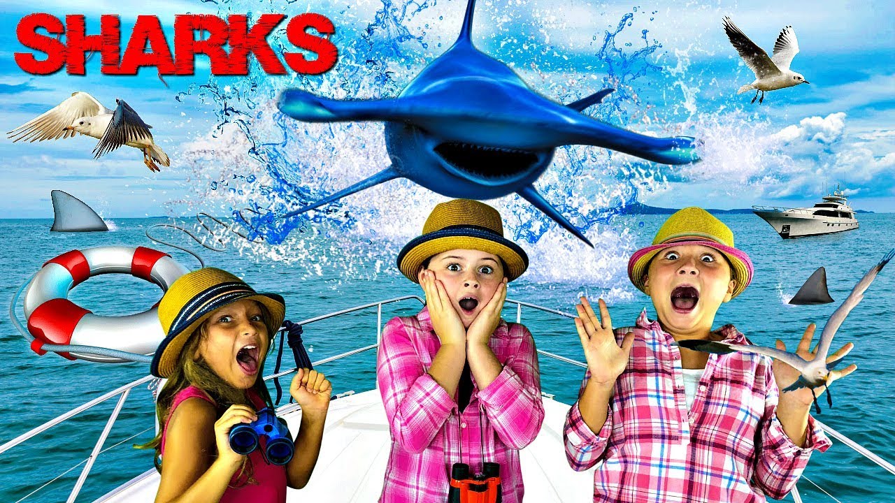 Sharks for Kids | Learn About Hammerhead Sharks!