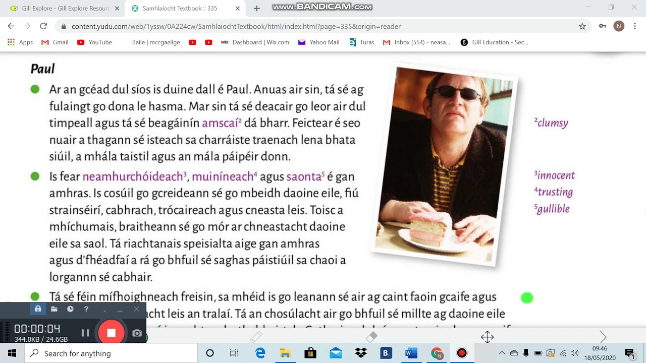 Cáca Milis - An Fear Dall 🍰