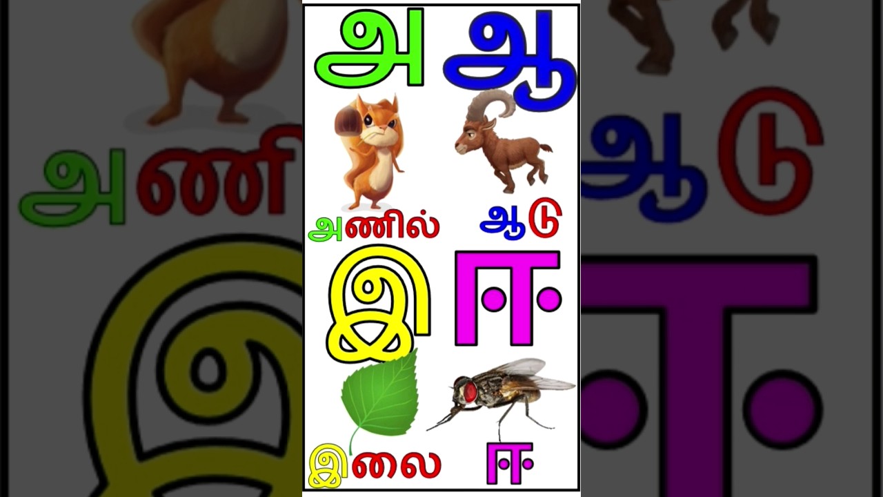 Tamil alphabets learning | ueir ezuthukkal|Tamilarisuvadi| #aaaaeiee #learnalphabet #alphabetstamil