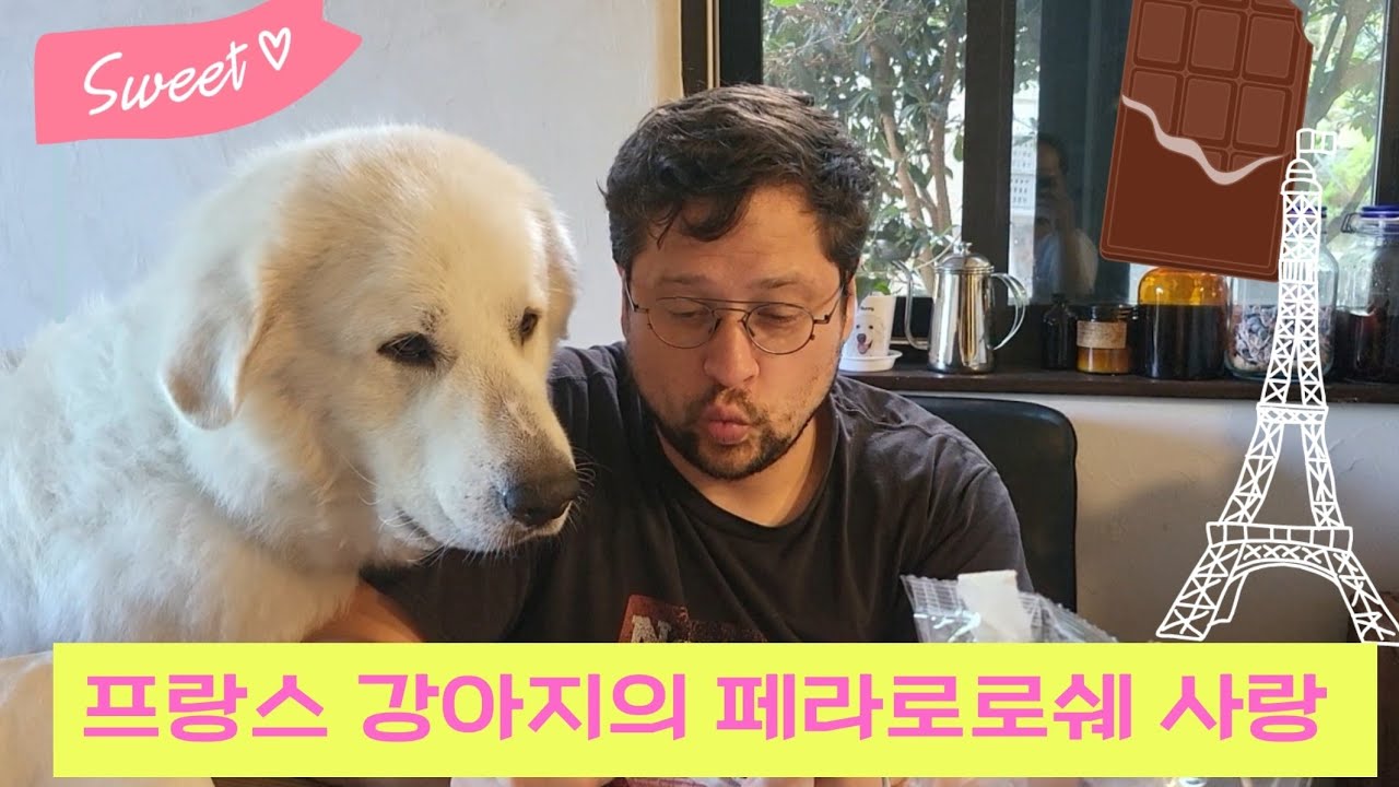 버니 프랑스 강아지의 페라로로쉐 사랑 💕 Hey Daddy~ I want some.....
