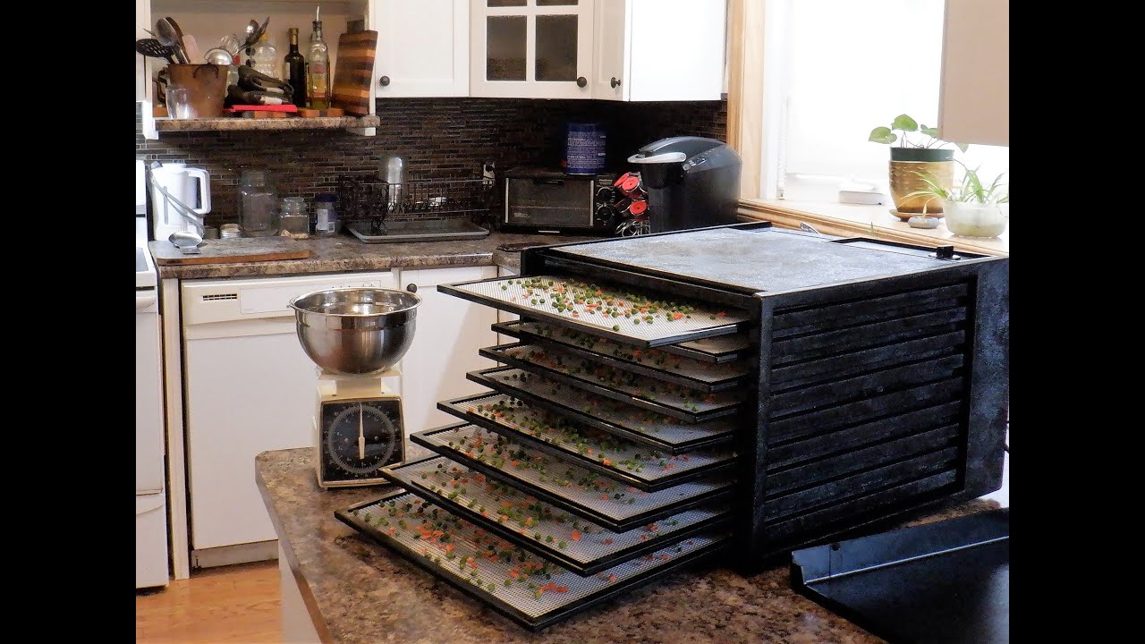 Testing the new Excalibur Food Dehydrator!