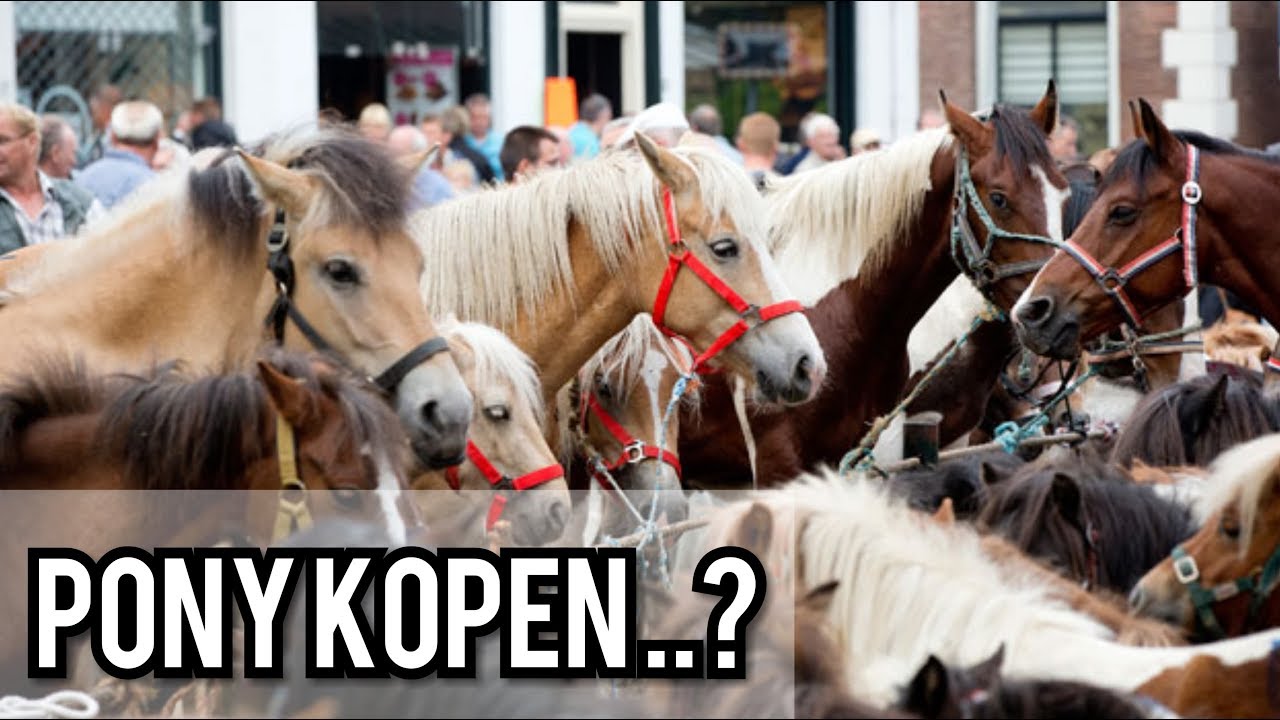 Vlog|| PONY KOPEN van de PAARDENMARKT?!