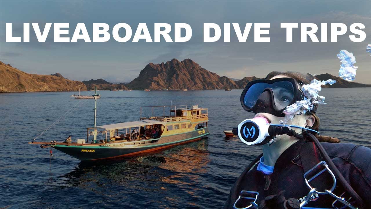 Your complete guide to liveaboard diving