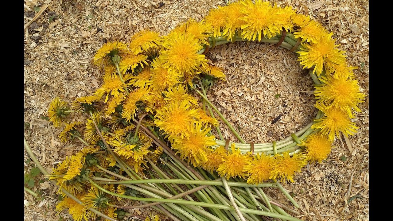 Как плести ВЕНОК ИЗ ОДУВАНЧИКОВ /Венок из цветов / Wreath of flowers