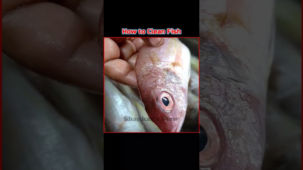 How to cleaning small fish #fishcleaning #fishcutting #ShankarsView