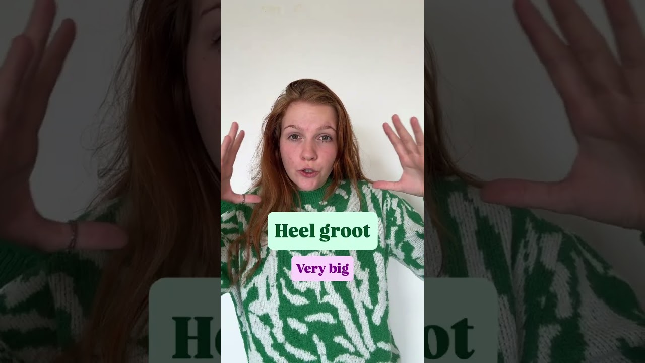 Want to learn Dutch faster?