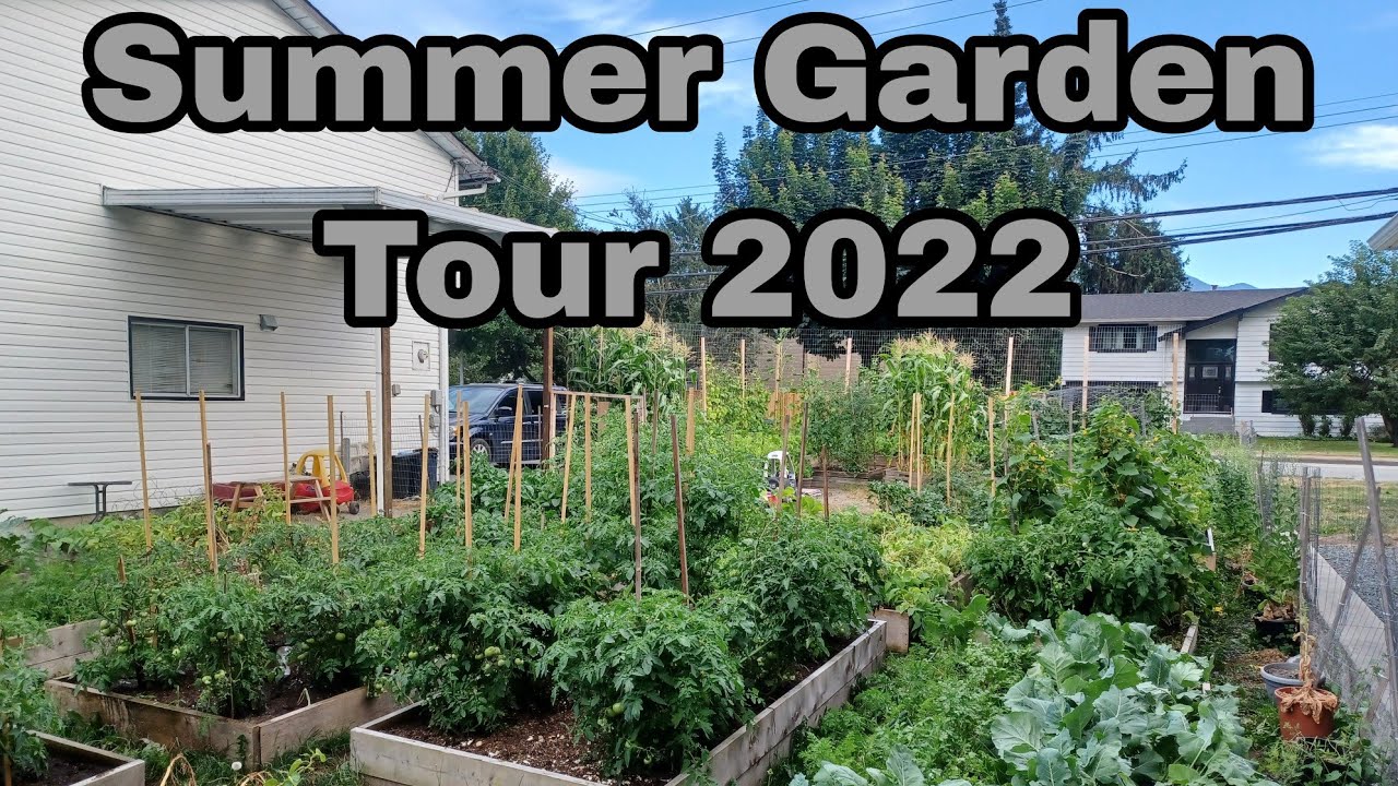 Summer Garden Tour/Tomato Pruneing/Potato Harvesting