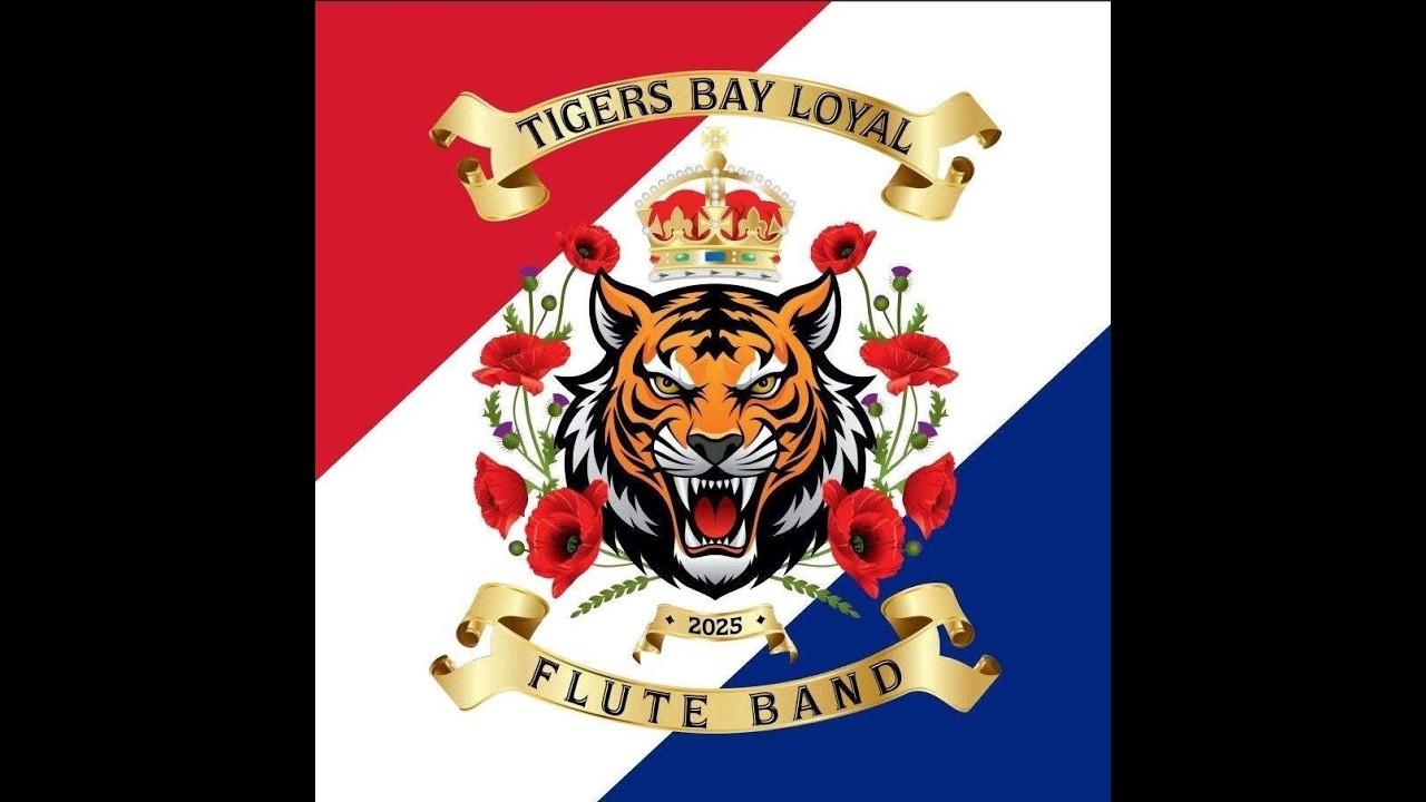 Tigers Bay Loyal (Full Clip 4K) @ 