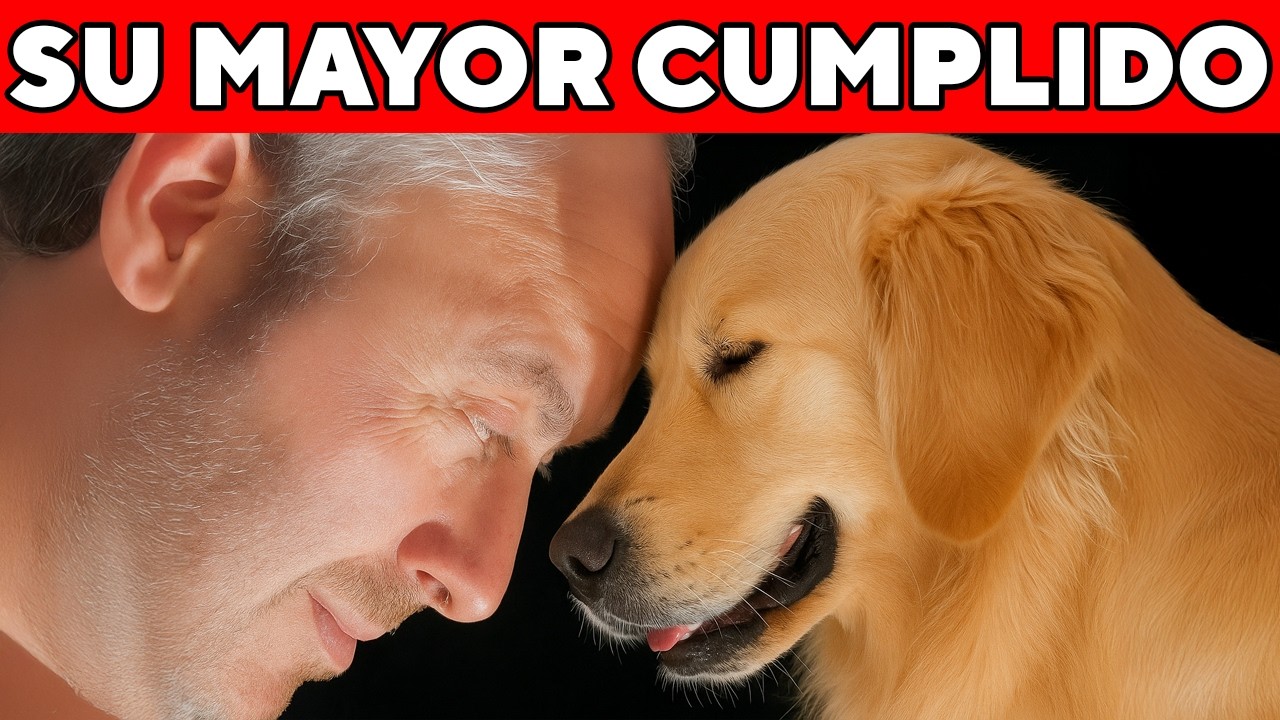 16 CUMPLIDOS Más Profundos que Tu Perro Te Hace a Ti