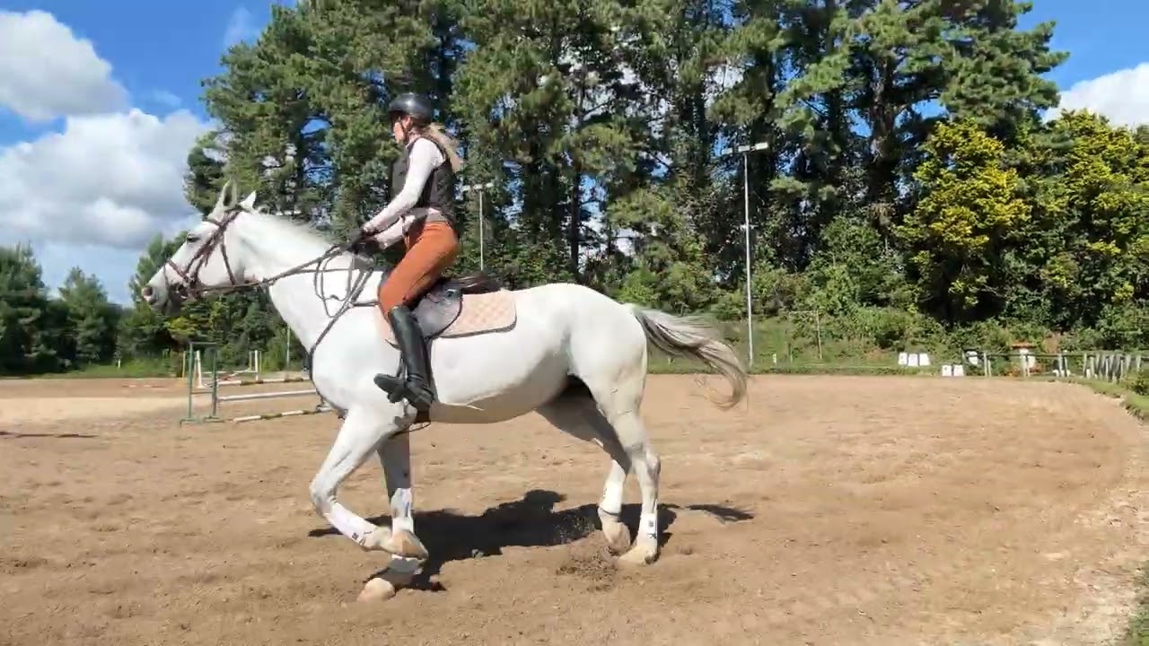 Jeena wanting to canter when she is supposed to trot 