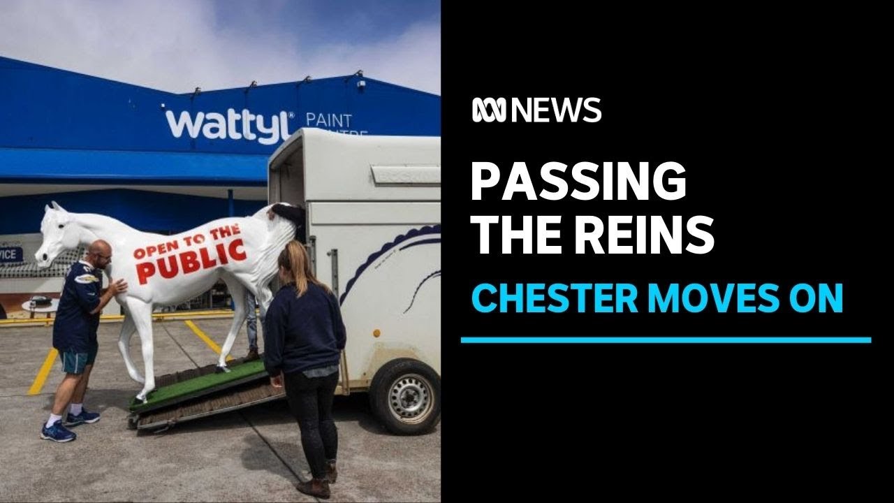 A fibreglass horse with a 'colt' following is saddling up for a new career on the stage | ABC News