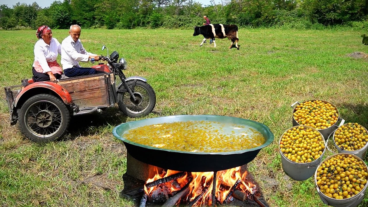 How Grandma Sun-Dries Apricots 🍑 | Village Life in Azerbaijan & Homemade Apricot Jam (LIVE)