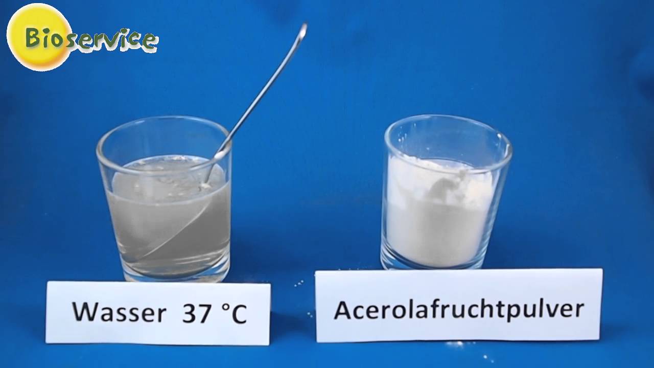 BIO-Acerolafruchtpulver 70.047
