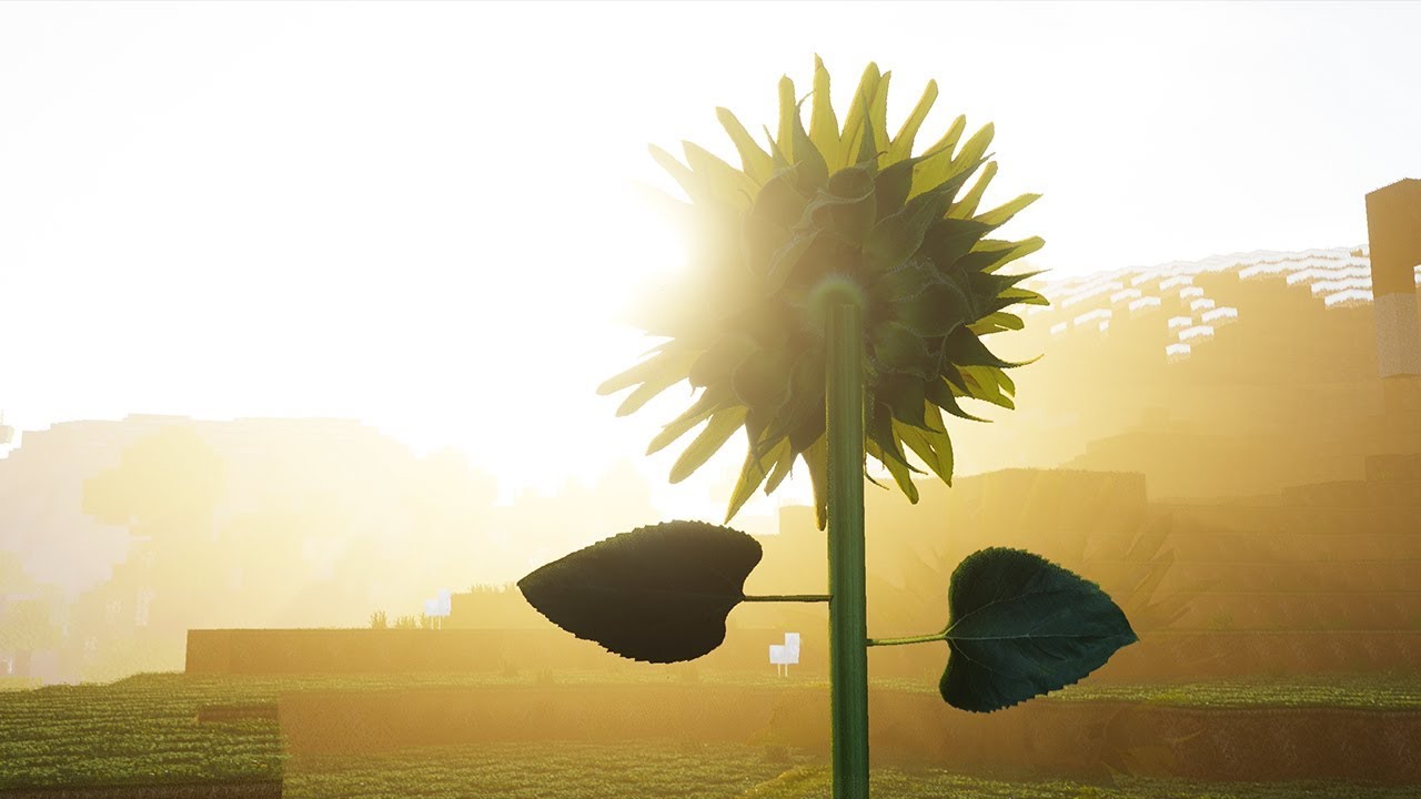 Minecraft 2019 - RUDY Photorealism V0.2a RP | Ultra Graphics - Ray Tracing- 4K