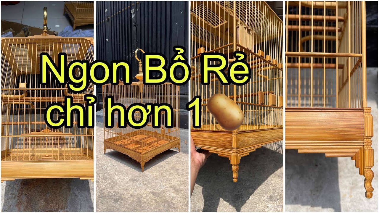 Giới thiệu mẫu lồng chào mào báng súng của Vũ Minh