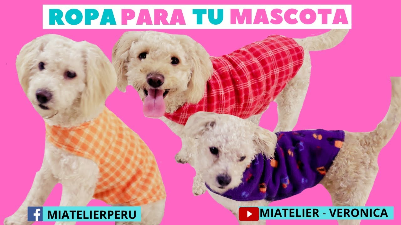 😍🐶ROPA  PARA TU MASCOTA 👈🏻